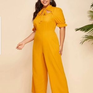 Tie Neck Peekaboo Culotte Jumpsuit